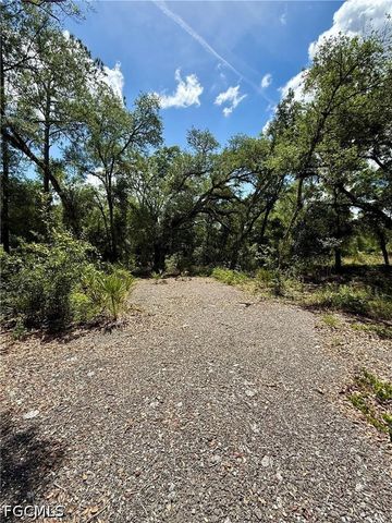 Lot 10 Long CIR, Webster, FL 33597