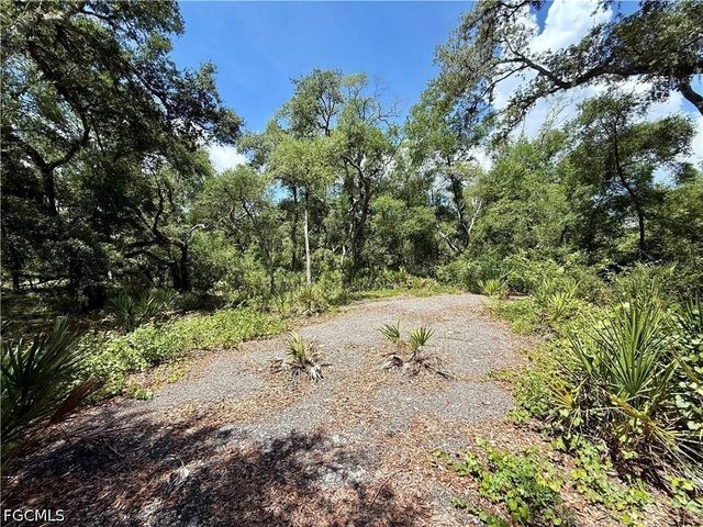 Lot 10 Long CIR, Webster, FL 33597