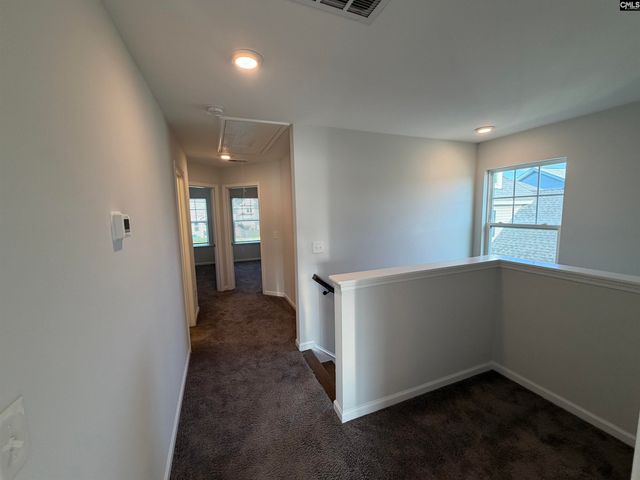 1106 Bergenfield Lane, Chapin, SC 29036