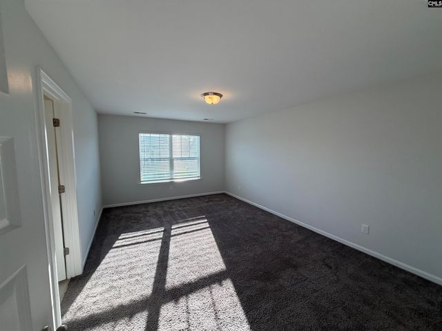 1106 Bergenfield Lane, Chapin, SC 29036