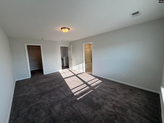 1106 Bergenfield Lane, Chapin, SC 29036