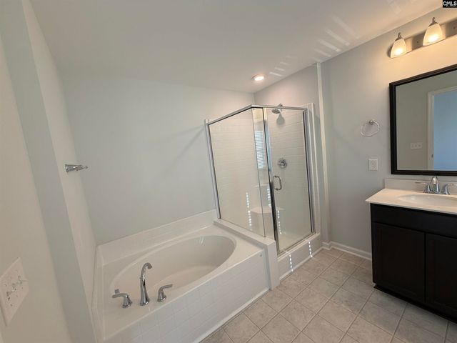 1106 Bergenfield Lane, Chapin, SC 29036
