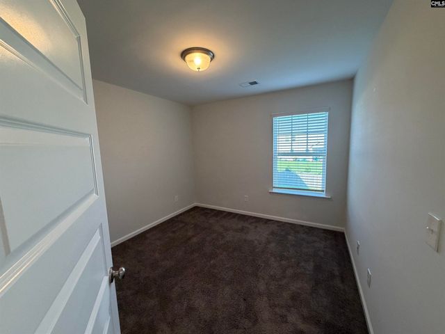 1106 Bergenfield Lane, Chapin, SC 29036