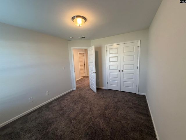 1106 Bergenfield Lane, Chapin, SC 29036