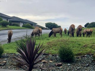 96503 RIDGEWAY St, Brookings, OR 97415