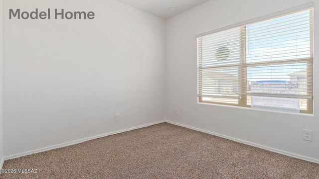 1084 S Chatfield Avenue, Vail, AZ 85641