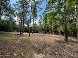 17141 Hillcrest Ridge, Vancleave, MS 39565