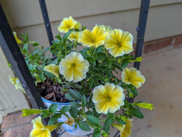 35 Stonewall Way, Durham, NC 27704