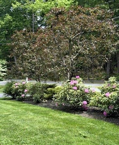 54 Pope Rd, Acton, MA 01720