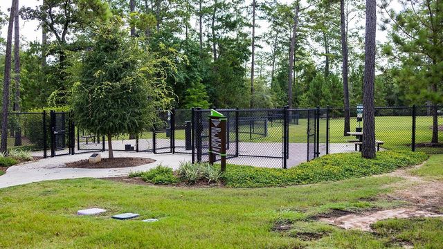 219 Prairie Rose Court, Conroe, TX 77318