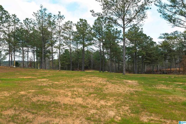 451 COUNTY ROAD 264, Clanton, AL 35046