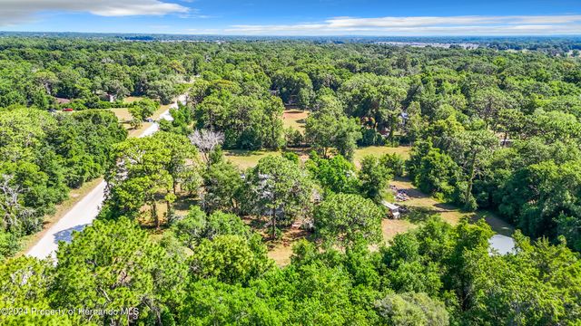 18214 Deason Drive, Spring Hill(pasco), FL 34610