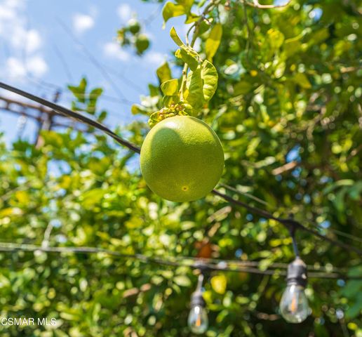 1917 Fitzgerald Road, Simi Valley, CA 93065