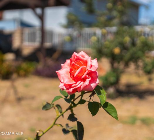 1917 Fitzgerald Road, Simi Valley, CA 93065