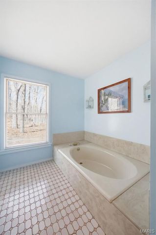 16 Rockwood Forest Glen, Wildwood, MO 63025