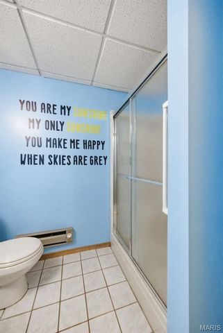 16 Rockwood Forest Glen, Wildwood, MO 63025