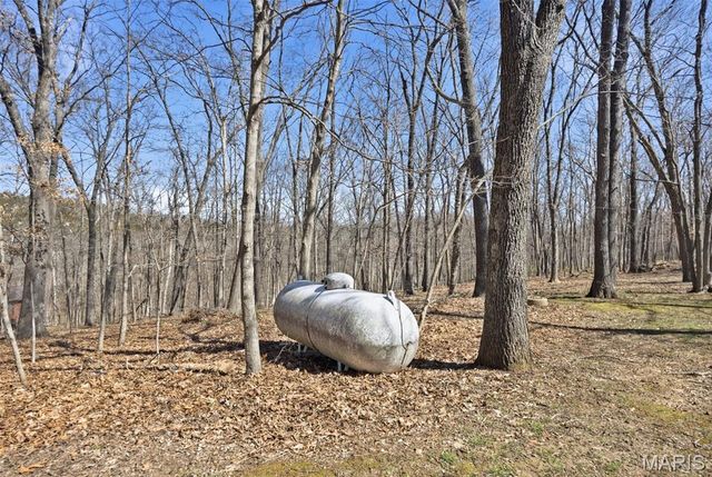 16 Rockwood Forest Glen, Wildwood, MO 63025