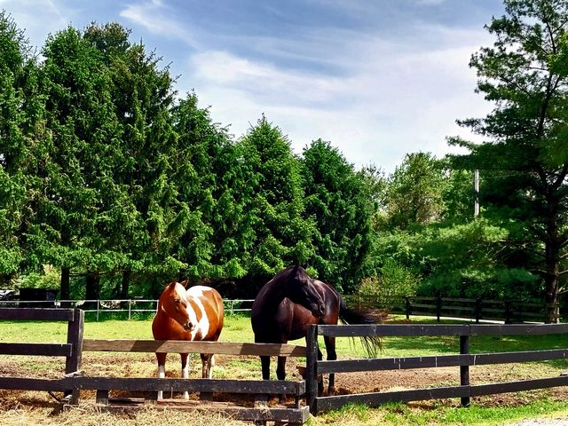 1022 E 600 S, Franklin, IN 46131