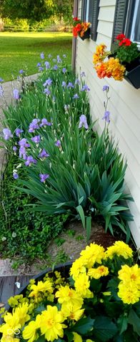 1022 E 600 S, Franklin, IN 46131