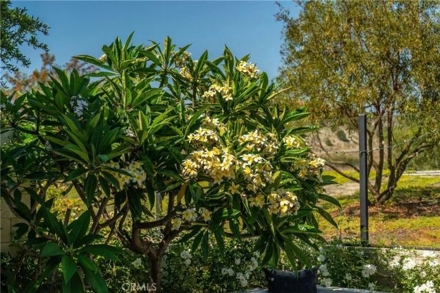 51 Thrush, Irvine, CA 92618