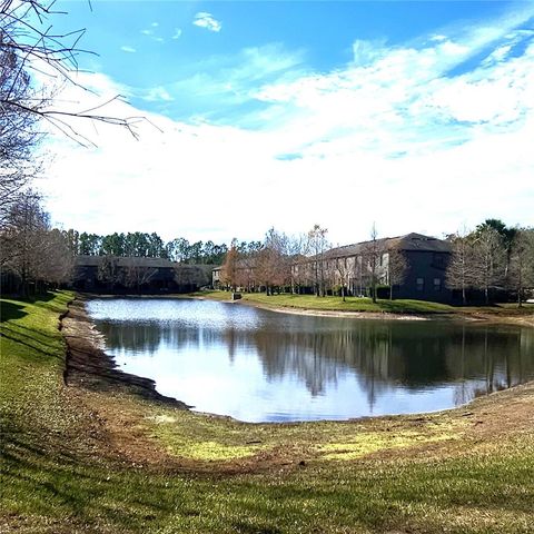 17358 OLD TOBACCO ROAD, Lutz, FL 33558