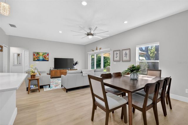 335 VINCENT DRIVE, Mount Dora, FL 32757