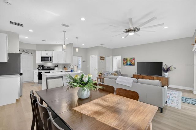 335 VINCENT DRIVE, Mount Dora, FL 32757