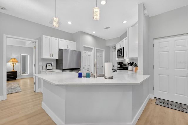 335 VINCENT DRIVE, Mount Dora, FL 32757