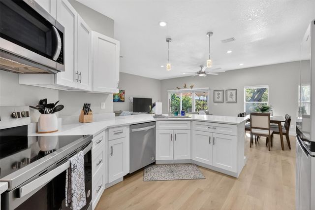 335 VINCENT DRIVE, Mount Dora, FL 32757