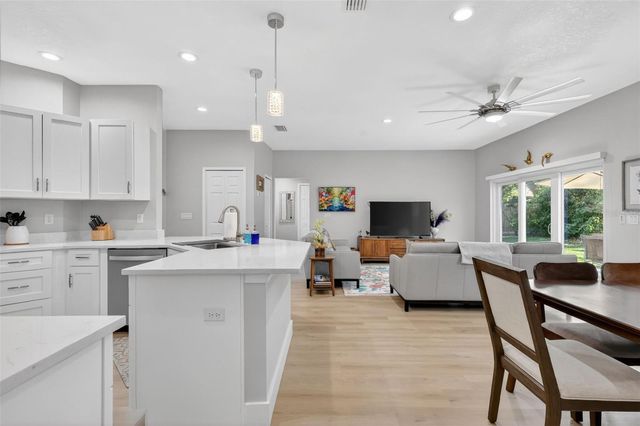 335 VINCENT DRIVE, Mount Dora, FL 32757