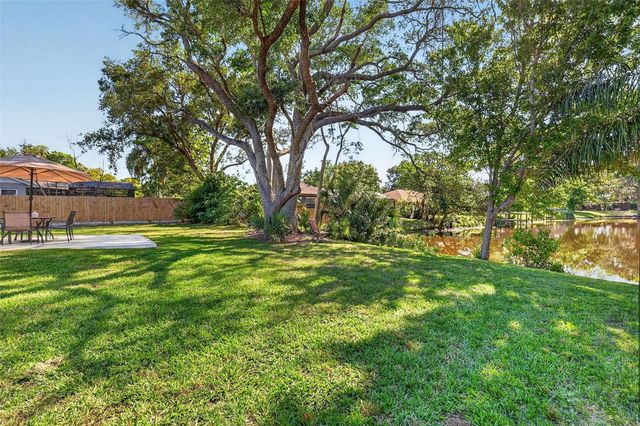 335 VINCENT DRIVE, Mount Dora, FL 32757