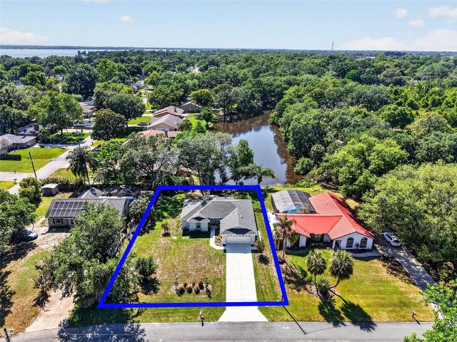 335 VINCENT DRIVE, Mount Dora, FL 32757