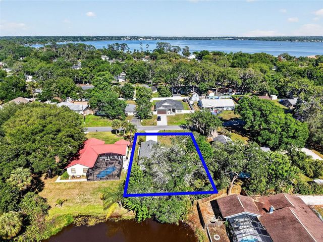 335 VINCENT DRIVE, Mount Dora, FL 32757