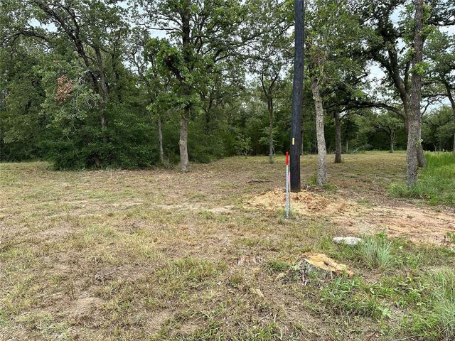 TBD Lot 1 Zapalac RD, Smithville, TX 78957