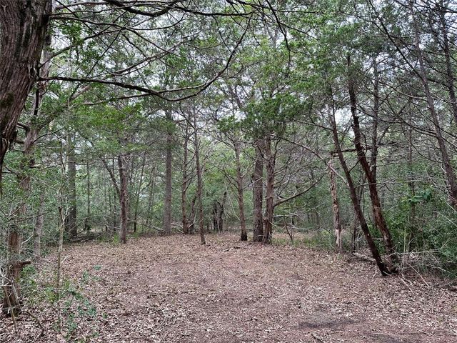 TBD Lot 1 Zapalac RD, Smithville, TX 78957