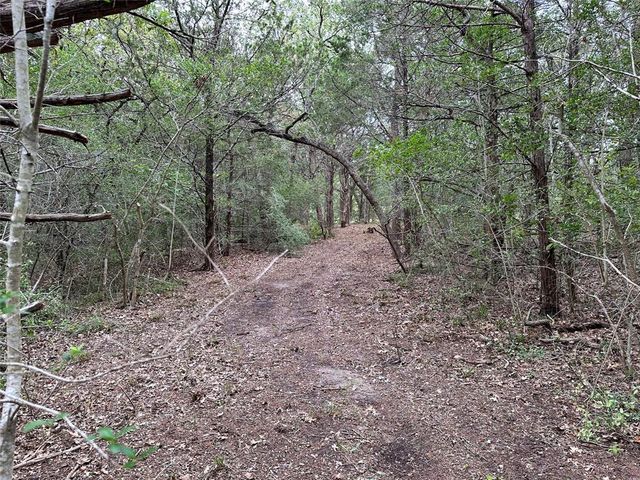 TBD Lot 1 Zapalac RD, Smithville, TX 78957