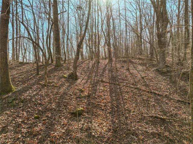 Lot 9 Mount Mincie Road, Murrayville, GA 30564