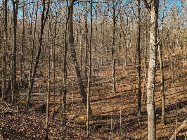 Lot 9 Mount Mincie Road, Murrayville, GA 30564