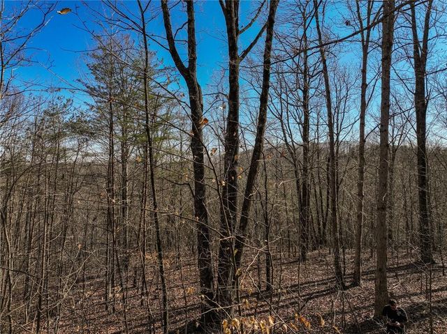 Lot 9 Mount Mincie Road, Murrayville, GA 30564