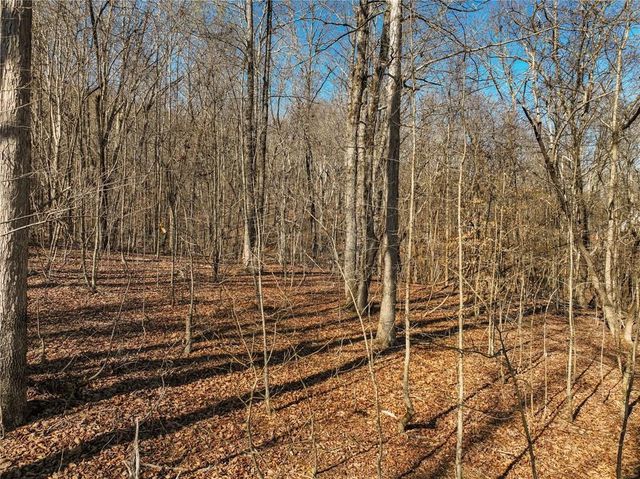 Lot 9 Mount Mincie Road, Murrayville, GA 30564