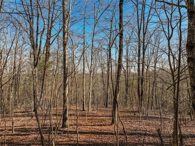 Lot 9 Mount Mincie Road, Murrayville, GA 30564