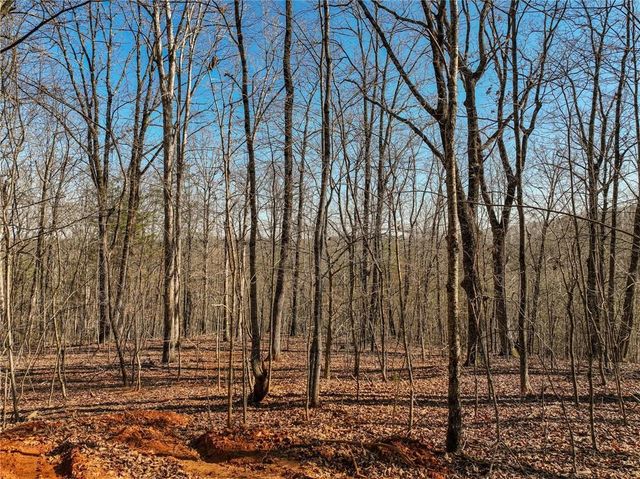 Lot 9 Mount Mincie Road, Murrayville, GA 30564