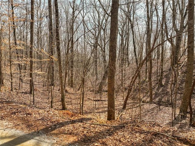 Lot 9 Mount Mincie Road, Murrayville, GA 30564