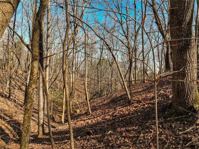 Lot 9 Mount Mincie Road, Murrayville, GA 30564