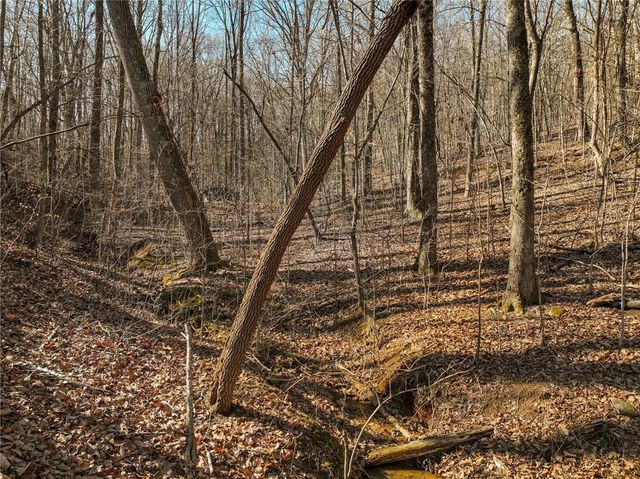 Lot 9 Mount Mincie Road, Murrayville, GA 30564