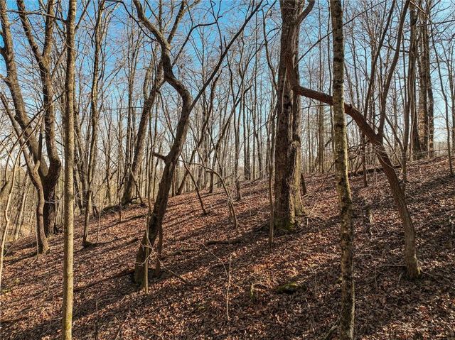 Lot 9 Mount Mincie Road, Murrayville, GA 30564