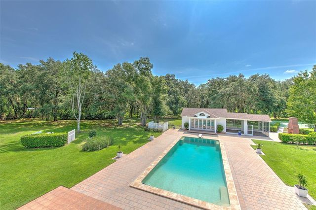 11444 HAMMOCK OAKS CT, Lithia, FL 33547