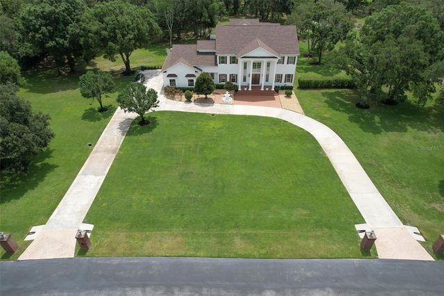 11444 HAMMOCK OAKS CT, Lithia, FL 33547