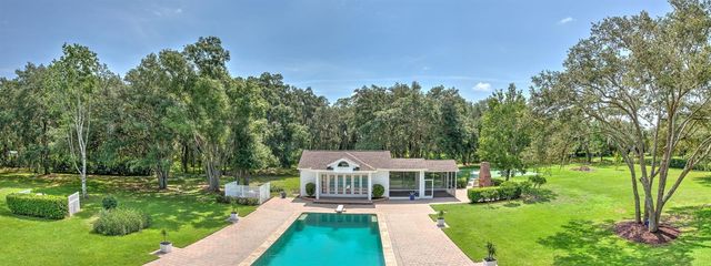 11444 HAMMOCK OAKS CT, Lithia, FL 33547