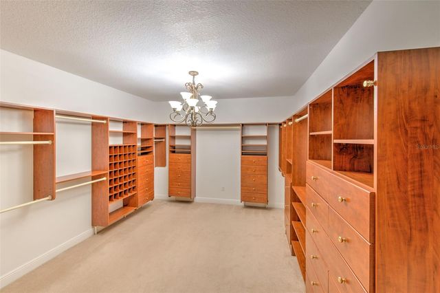 11444 HAMMOCK OAKS CT, Lithia, FL 33547